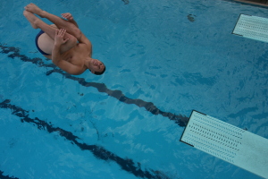 swimming pool diving board